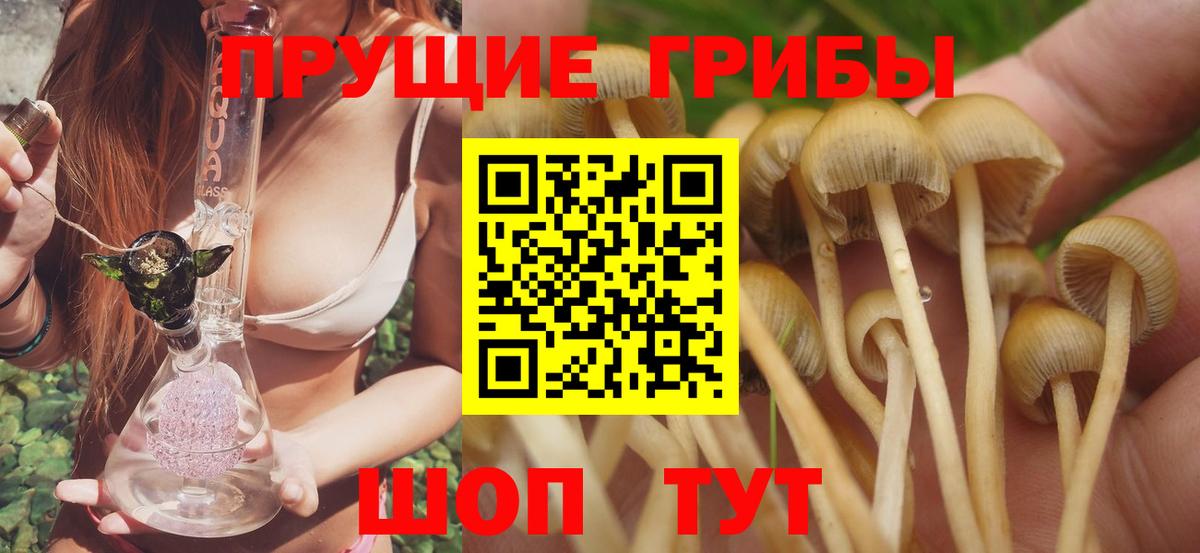 Будённовск  Галлюциногенные грибы GOLDEN TEACHER  Вход с VPN 