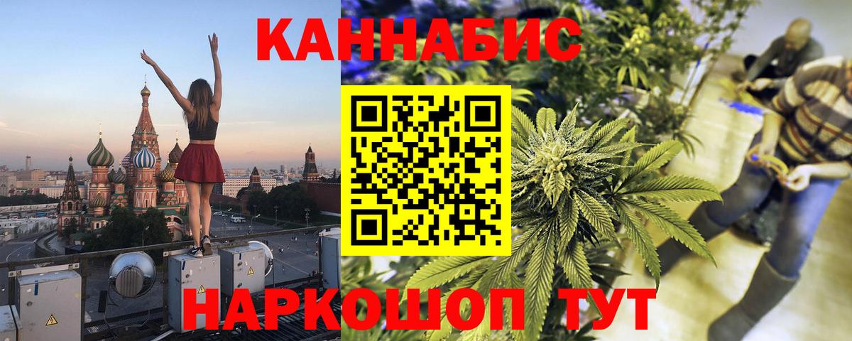 Каннабис сатива  Конопля семена  Канабис конопля  Будённовск  Вход с VPN 